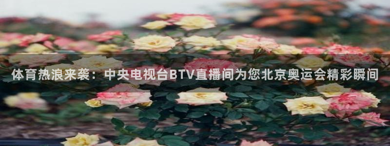 体育热浪来袭：中央电视台BTV直播间为您北京奥运会精彩瞬间